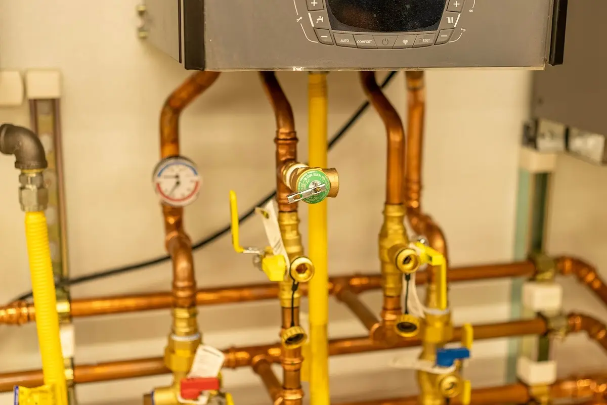 Licensed technician providing Sump Pump Repair for a homeowner in Woodbury